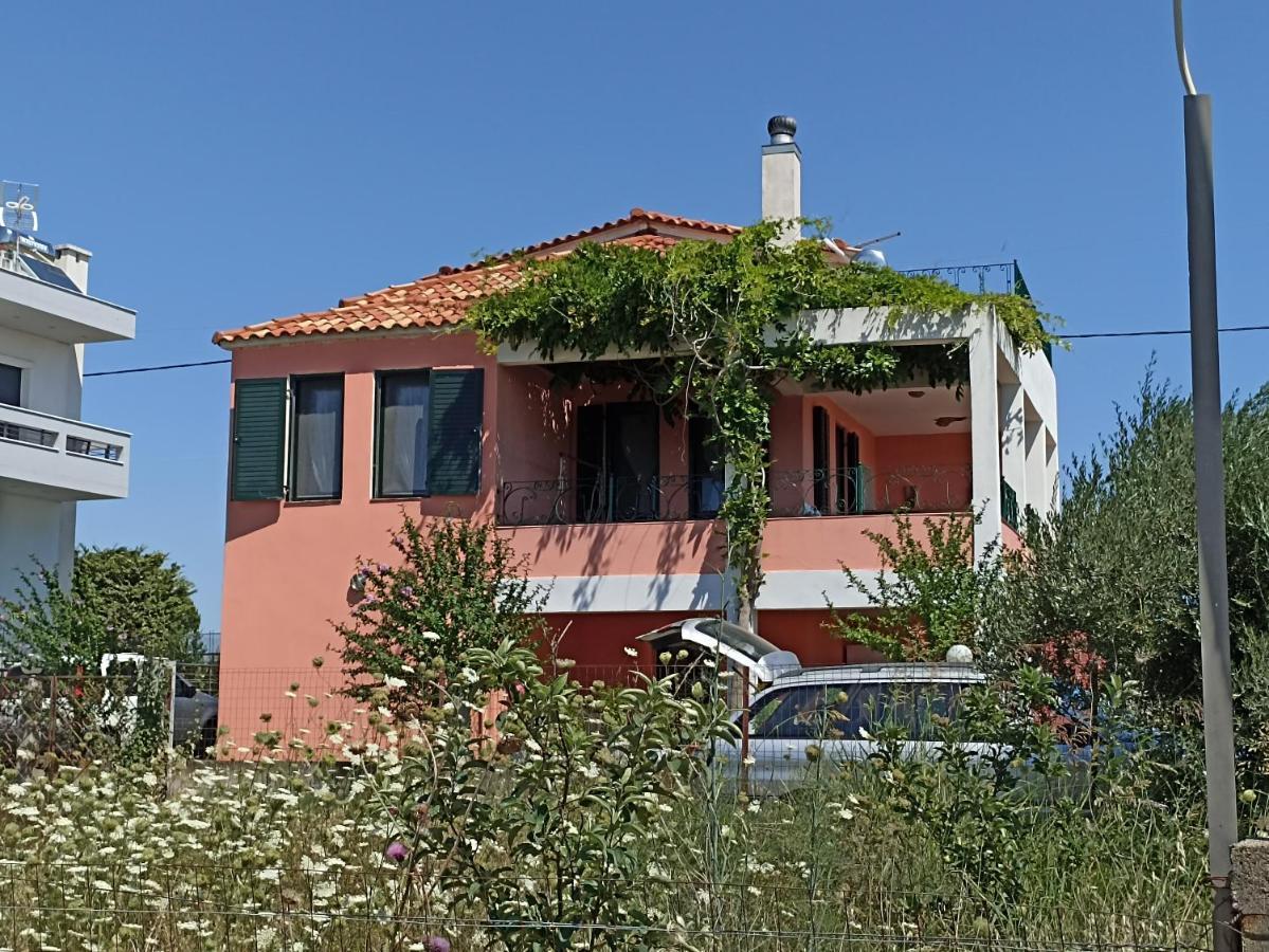 Olgas Villa Arogi Εξωτερικό φωτογραφία