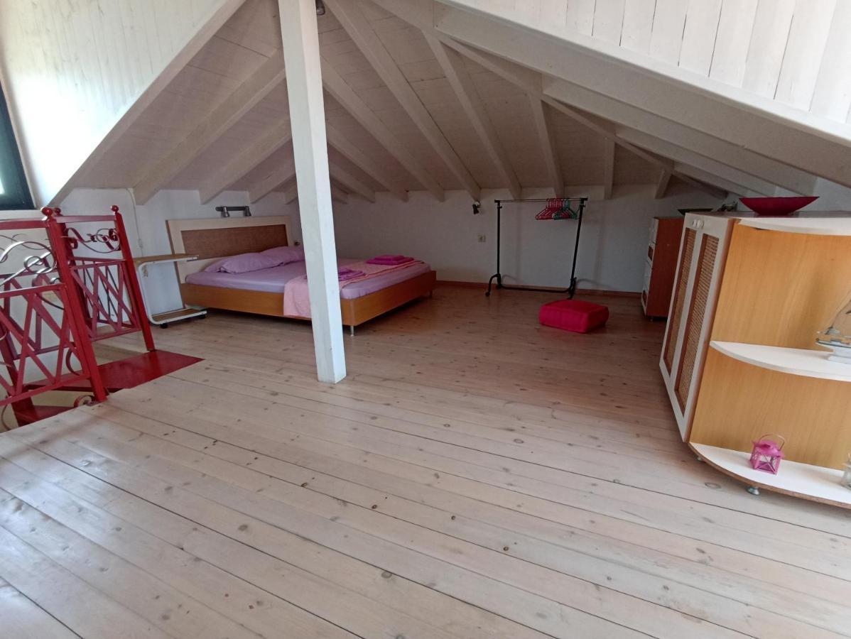 Olgas Villa Arogi Εξωτερικό φωτογραφία